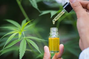 CBD in Schwangerschaft und Stillzeit: Das sagt die Wissenschaft 